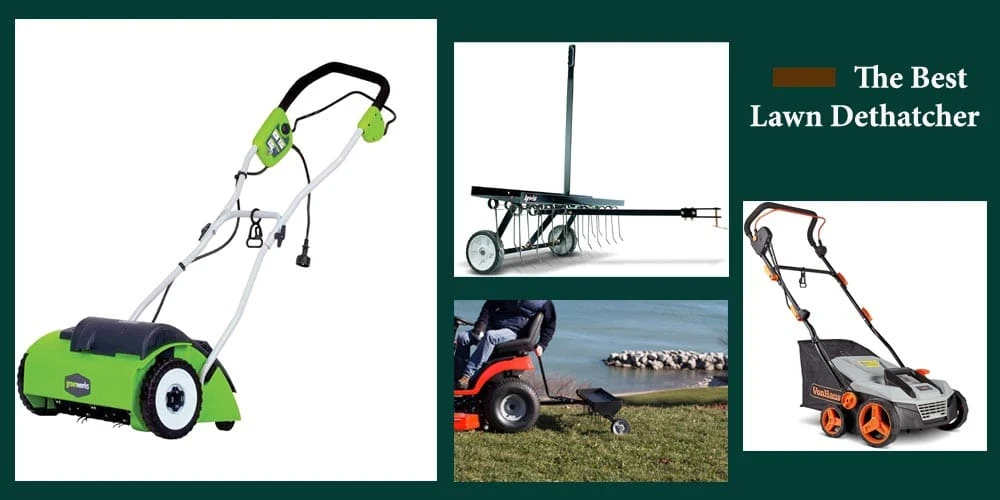16 Best Lawn Dethatchers Reviews