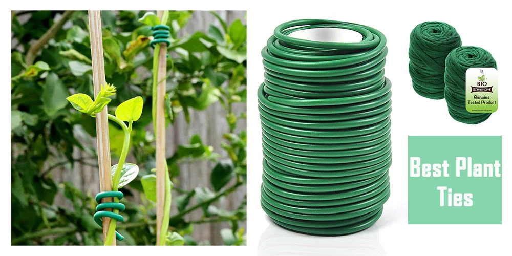 Top 10 Best Plant Ties: Reviewed In Detailed