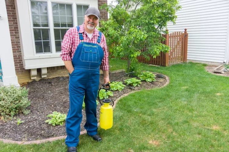 20 Best Weed Killer for Lawns Reviews