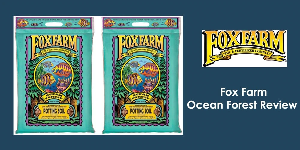 Strong Base = Successful Plants