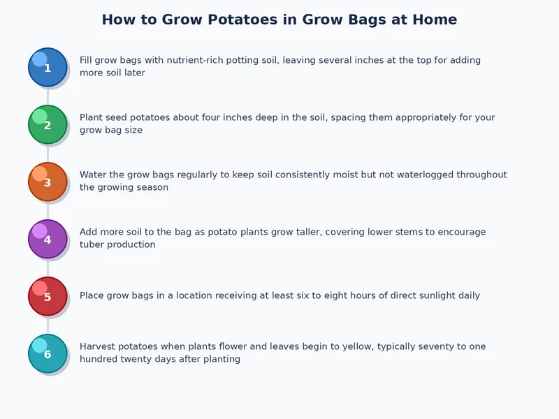 Step-by-step process diagram showing potato grow bag stages from chitting through harvest