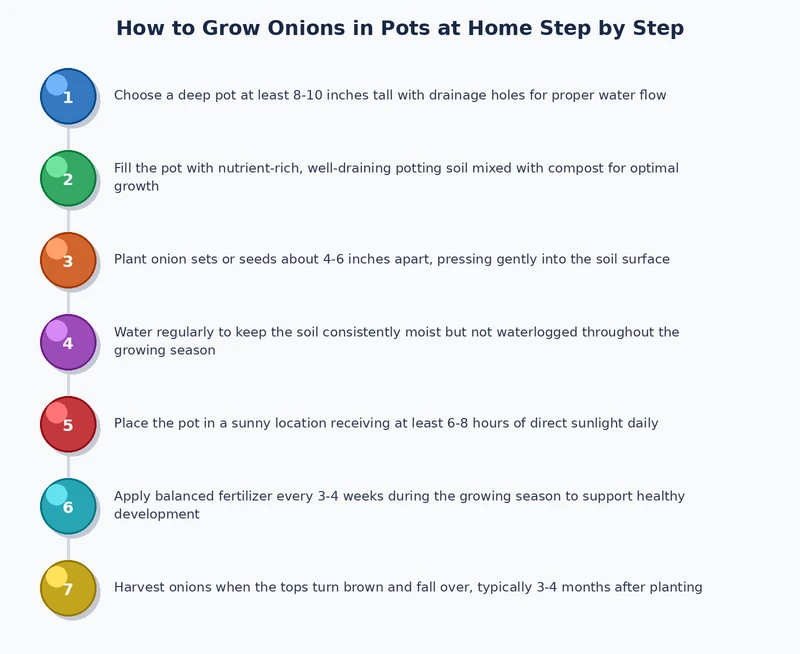 step by step process diagram for how to grow onions in pots from planting sets to harvest