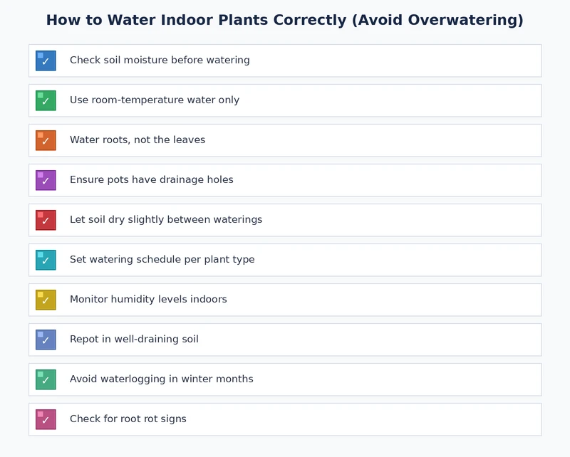 Indoor plant watering checklist — steps to avoid overwatering houseplants correctly
