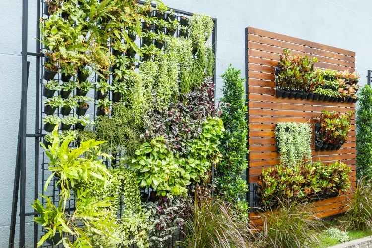 10 Tips for Vertical Gardening