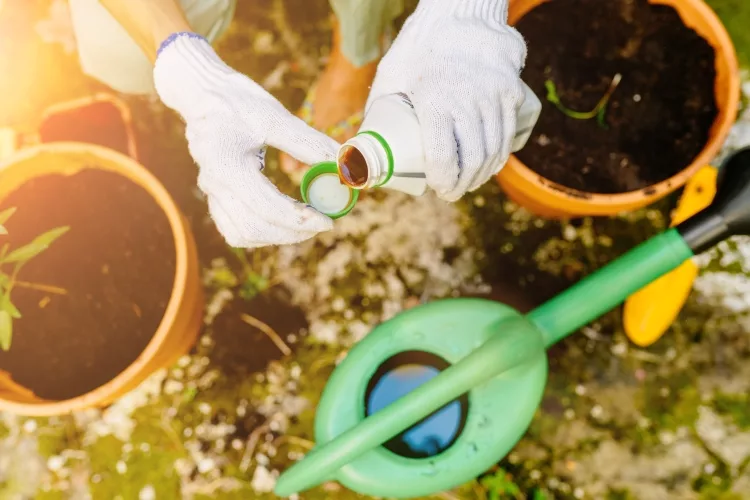 Liquid fertilizers