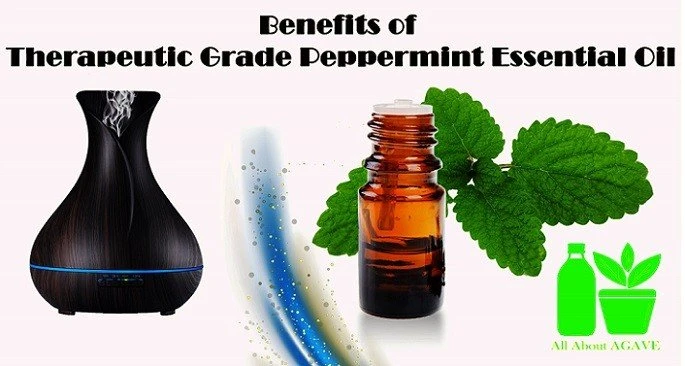 What is Essential Oil, and How Does it Relate to Aromatherapy?