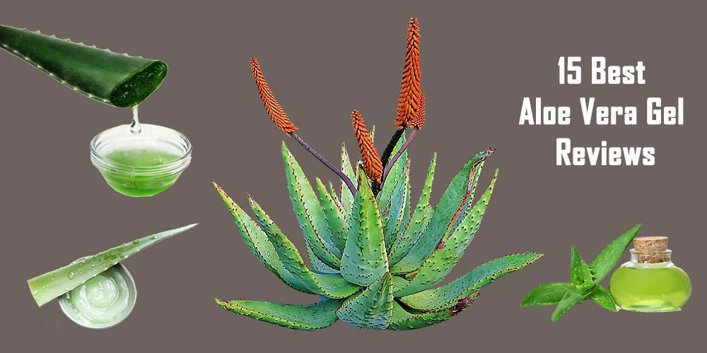Top 15 Best Aloe Vera Gel Reviews