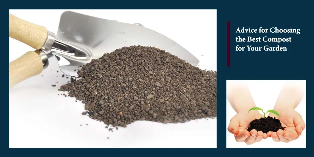 Choosing The Best Compost