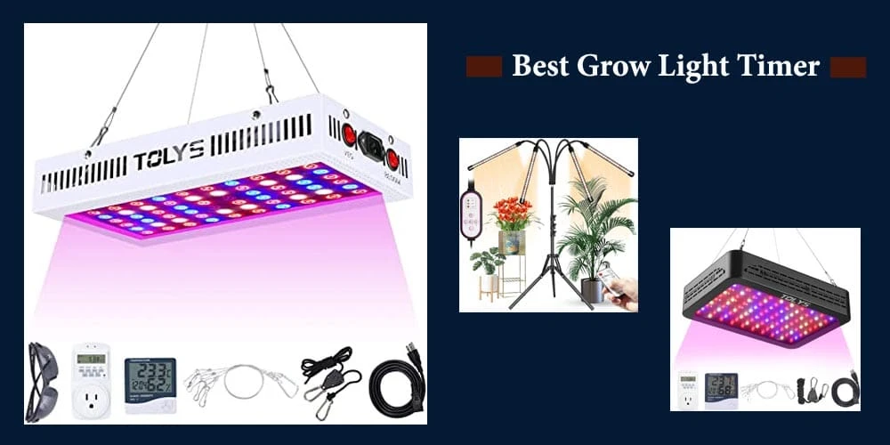 10 Best Grow Light Timer Reviews