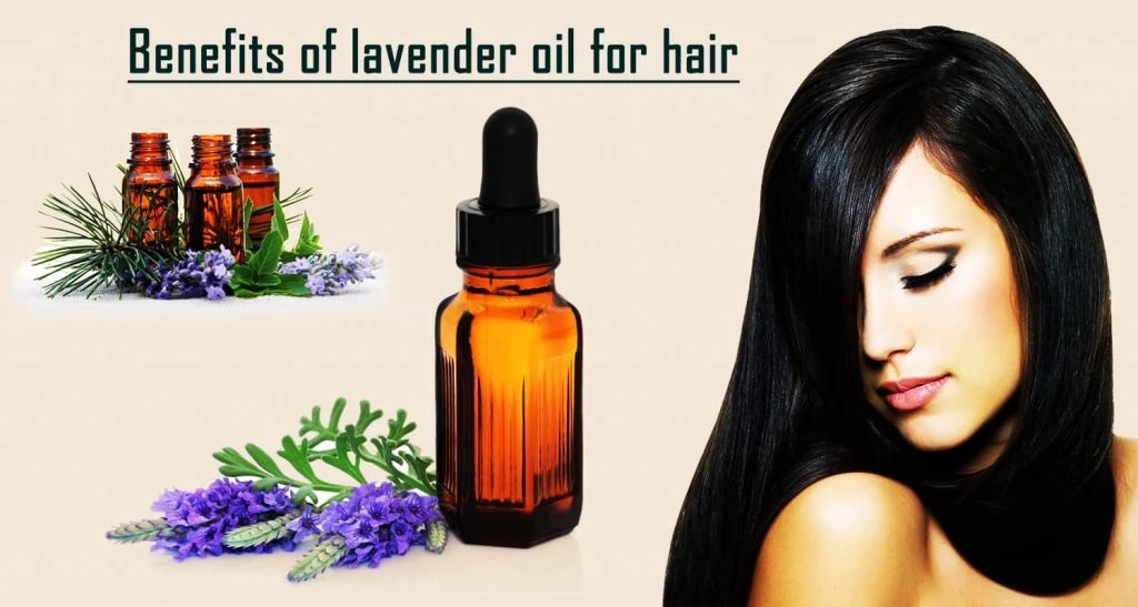 Benefits Of Lavender Oil For Hair