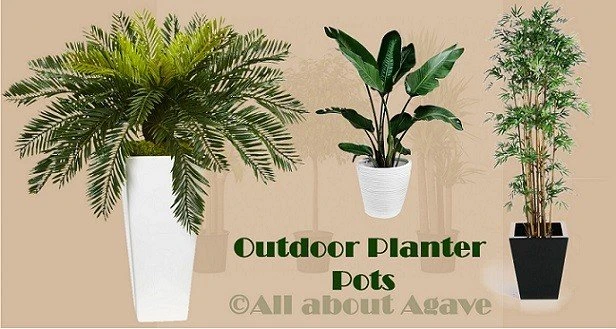 Top 15 Best Outdoor Planter Pots Reviews