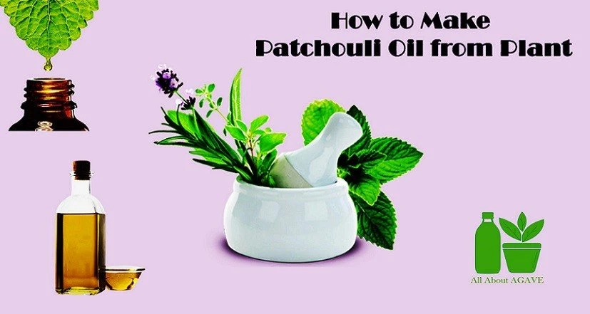 How To Make Patchouli Oil 