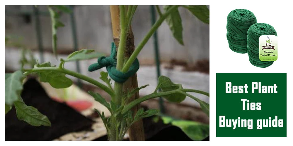 Buying Guide Of Plant Ties