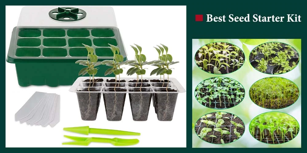 15 Best Seed Start Kit Reviews