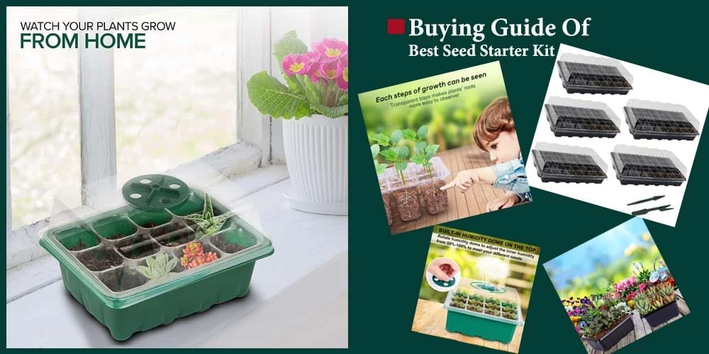 Guide To Buy Seed Starter Kit