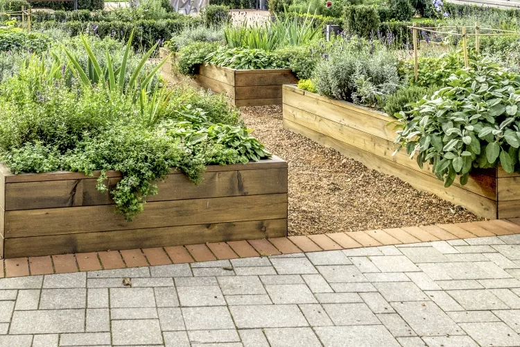 Organic or Inorganic