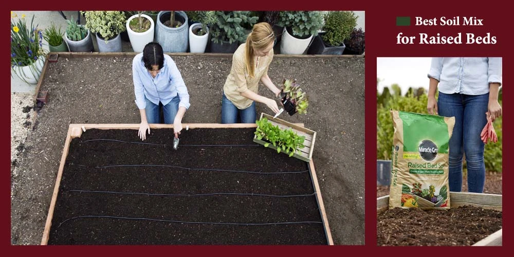 Best Soil Mix for Raised Beds Reviews