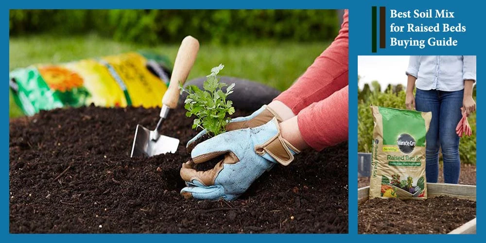 Beds Buying Guide For Soil Mix