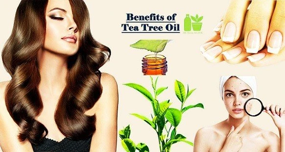 Tea Tree Oil Benefits