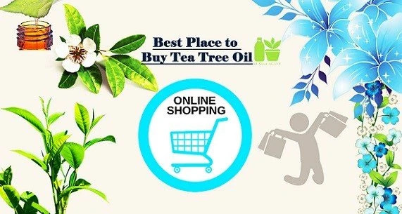 Where Do You Buy Tea Tree Oil