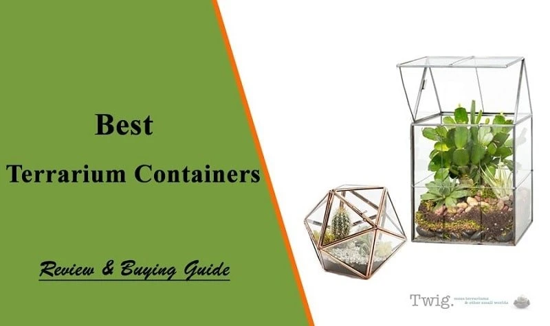 Size of the Container