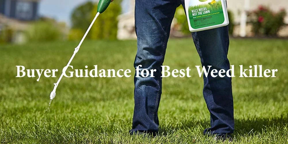 Buyer Guidance For Best Weed Killer