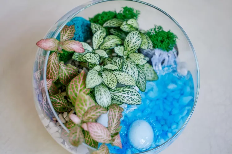 The terrarium layers