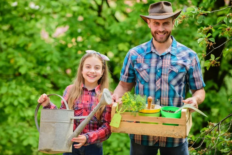 Transplanting into Your Garden