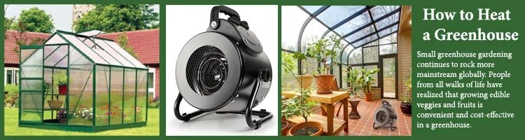 How to Heat a Greenhouse – Best Tips