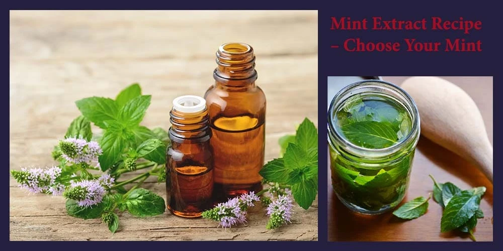Mint Extract Recipe