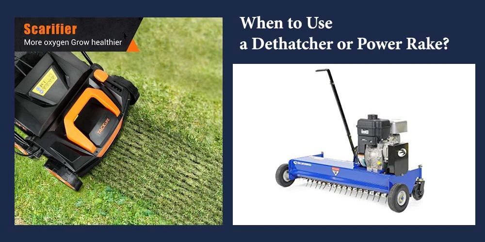 Use A Dethatchers Or Power Rake