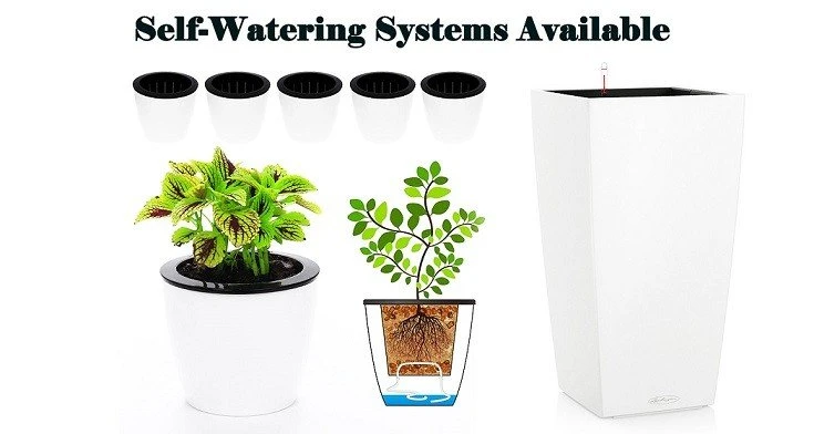Self Watering Planter Pots