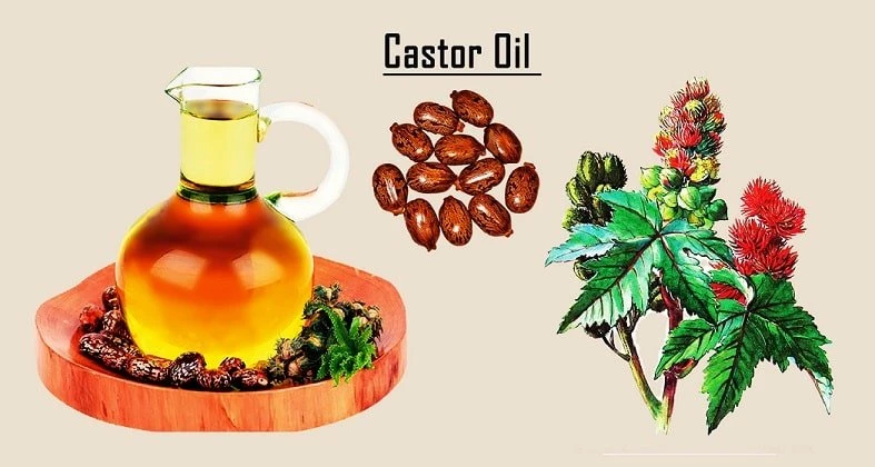 What Is Castor Oil