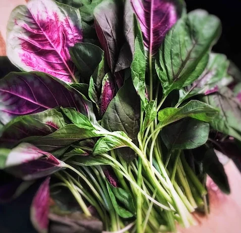 Amaranth Leaves