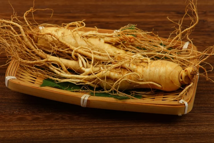 American Ginseng: Uses, Benefits, Warnings, Recipes, and Information