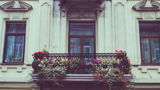 East Facing Balcony Flowers 