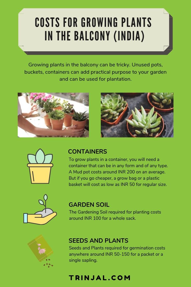 Costs For Container Garden