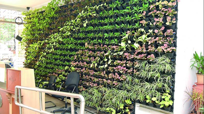 Vertical gardening