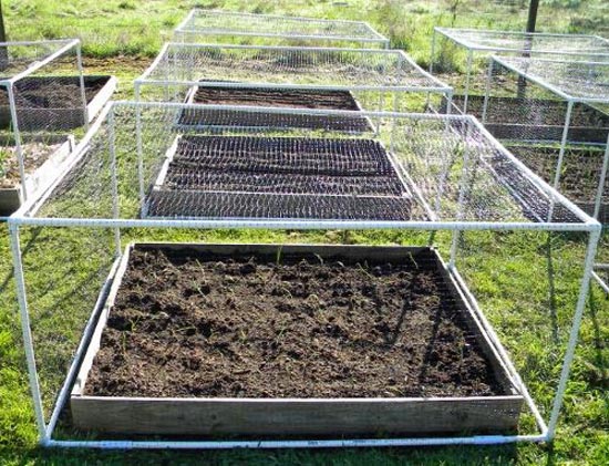 Garden Net for Climbing Plants