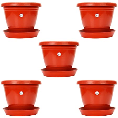 Eaglesford 8 inch planter pot pack of 5: